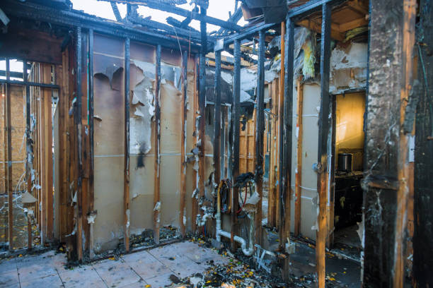 Professional Fire Damage Removal technician working in Franklin, VA